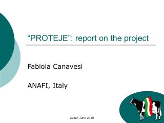 “PROTEJE”: report on the project