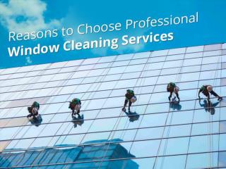Professional Window Cleaning in Boise