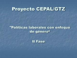 Proyecto CEPAL/GTZ
