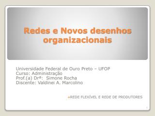 Redes e Novos desenhos organizacionais