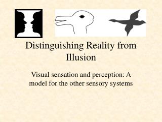 Distinguishing Reality from Illusion