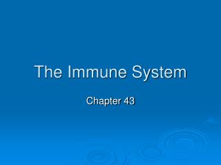 The Immune System