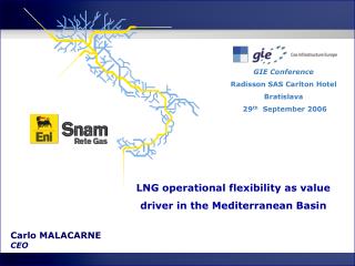 LNG operational flexibility as value driver in the Mediterranean Basin
