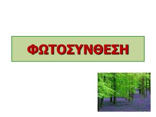 ΦΩΤΟΣΥΝΘΕΣΗ