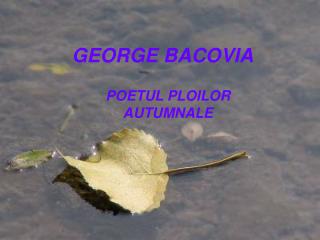 GEORGE BACOVIA