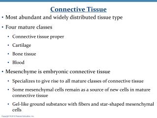 Connective Tissue