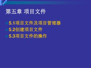 第五章	项目文件