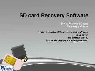 Learn how to recover deleted pictures from SD card