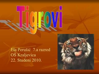Tigrovi