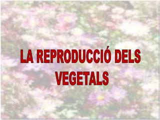 LA REPRODUCCIÓ DELS VEGETALS