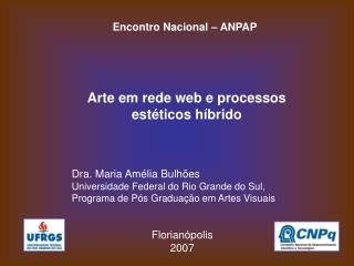 Arte em rede web e processos estéticos híbrido Dra. Maria Amélia Bulhões