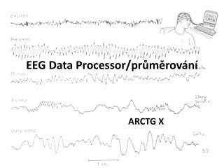 EEG Data Processor /průměrování