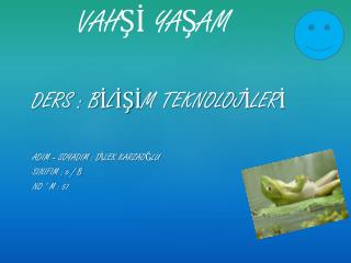 DERS : BİLİŞİM TEKNOLOJİLERİ