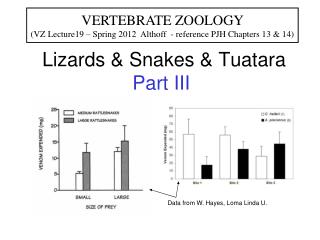 Lizards &amp; Snakes &amp; Tuatara Part III