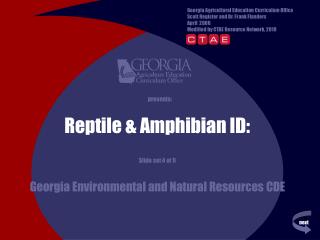 Reptile &amp; Amphibian ID: