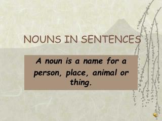 NOUNS IN SENTENCES