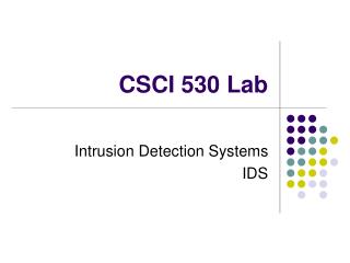 CSCI 530 Lab