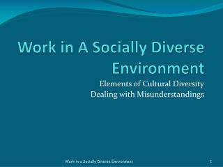 Work in A Socially Diverse Environment