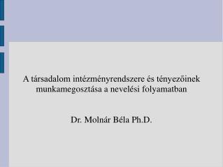 A társadalom intézményrendszere és tényezőinek munkamegosztása a nevelési folyamatban