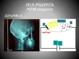 IDA PUSPITA NIM.10141005