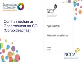 Comhairliúchán ar Ghearrchúrsa an CO (Corpoideachas)