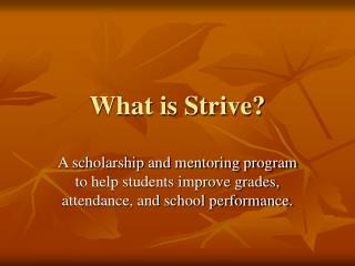 What is Strive?