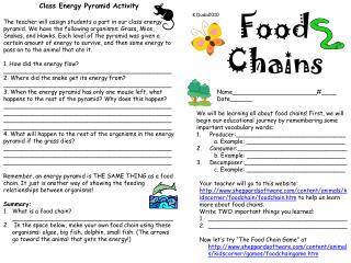 Food Chains