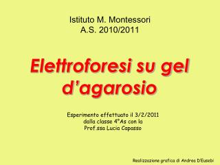 Elettroforesi su gel d’ agarosio