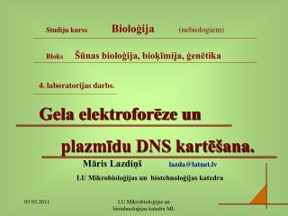 4. laboratorijas darbs. Gela elektroforēze un plazmīdu DNS kartēšana.