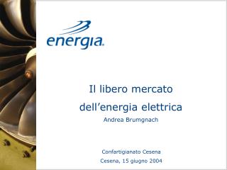 Il libero mercato dell’energia elettrica Andrea Brumgnach