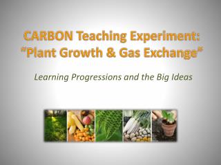 CARBON Teaching Experiment: “Plant Growth &amp; Gas Exchange”