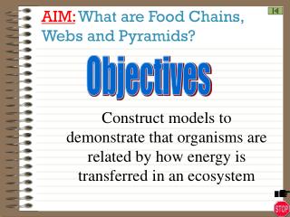 AIM: What are Food Chains, Webs and Pyramids?