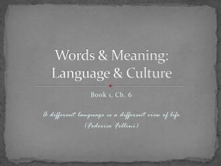 Words &amp; Meaning: Language &amp; Culture