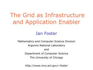 The Grid as Infrastructure and Application Enabler