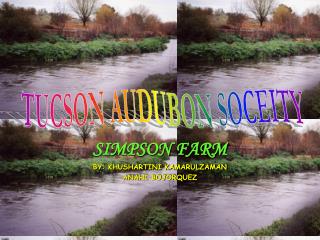 SIMPSON FARM BY: KHUSHARTINI KAMARULZAMAN ANAHI BOJORQUEZ