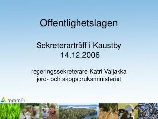 Finlands grundlag (731/1999)