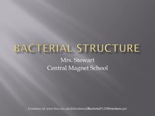 Bacterial Structure