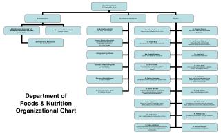Department of Foods &amp; Nutrition Organizational Chart