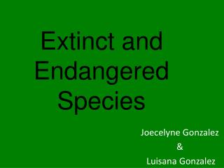 Extinct and Endangered Species
