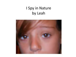 I Spy in Nature by Leah