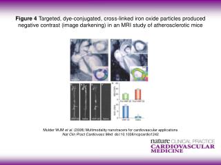 Mulder WJM et al . (2008) Multimodality nanotracers for cardiovascular applications