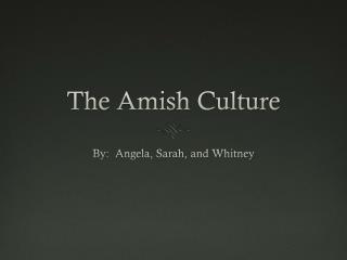The Amish Culture