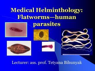 Medical Helminthology : Flatworms—human parasites