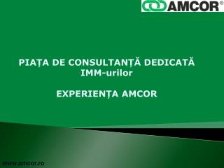 PIAȚA DE CONSULTANȚĂ DEDICATĂ IMM-urilor EXPERIENȚA AMCOR