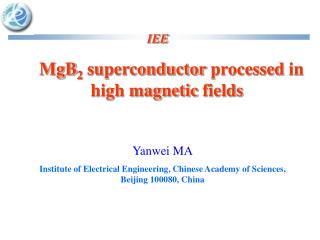   MgB 2  superconductor processed in  high magnetic fields 