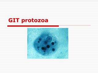GIT protozoa