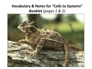 Vocabulary &amp; Notes for “Cells to Systems” Booklet (pages 1 &amp; 2)
