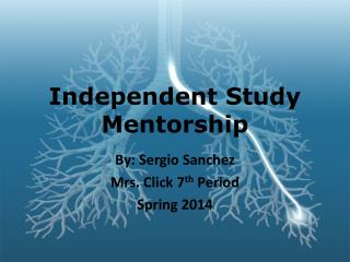 Independent Study Mentorship