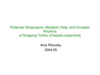 Amy Pikovsky 2004-05