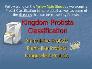 Kingdom Protista Classification